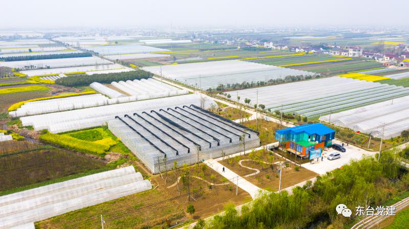 冬瓜高产栽培技术视频_冬瓜种植视频播放_黑冬瓜种植技术视频