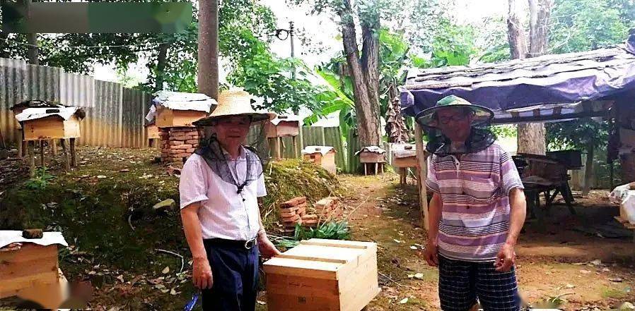 致富经深山养蜂人视频_致富经养蜂的女人_女人致富经养蜂