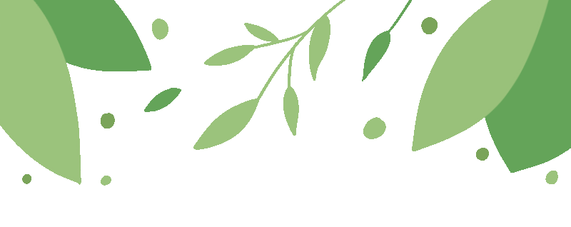 冬瓜栽培技术视频_黑冬瓜种植技术视频_冬瓜种植技术与管理视频