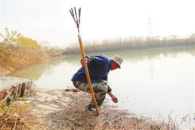 致富经甲鱼全部视频直播_致富经甲鱼养殖技术视频_致富经甲鱼