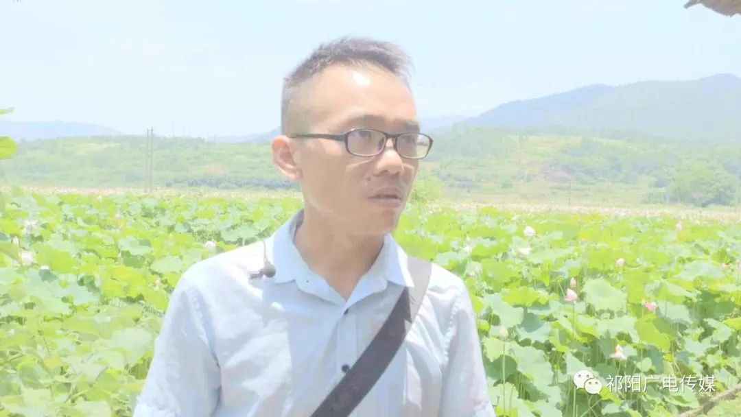 致富经种植莲蓬_致富种植莲蓬图片_种植莲蓬收入怎么样