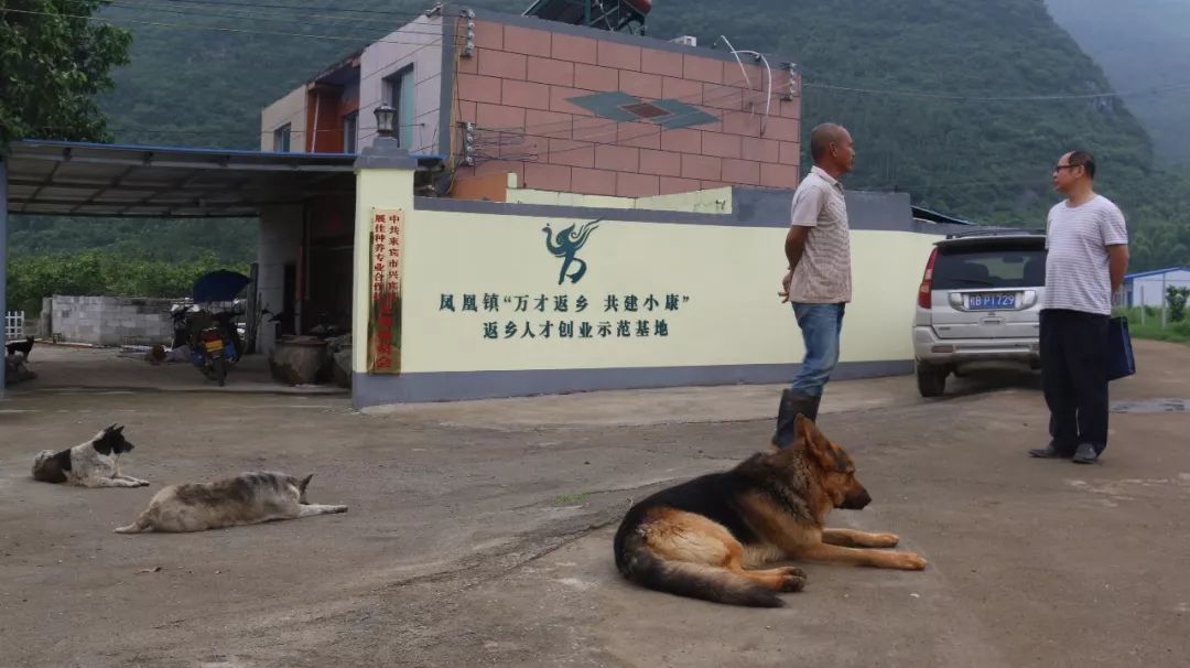 香猪养殖技术吧_养殖香猪技术视频_香猪养殖技术资料