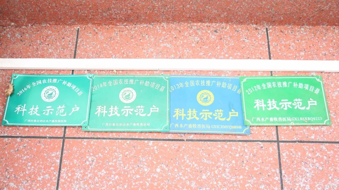 香猪养殖技术资料_香猪养殖技术吧_养殖香猪技术视频