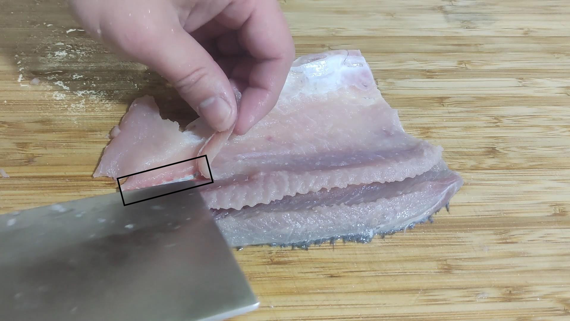 鲫鱼养殖视频致富经_视频养殖鲫鱼技术大全_鲫鱼养殖技术视频