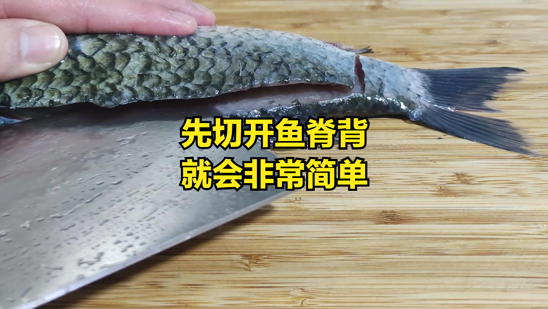 鲫鱼养殖视频致富经_鲫鱼养殖技术视频_视频养殖鲫鱼技术大全