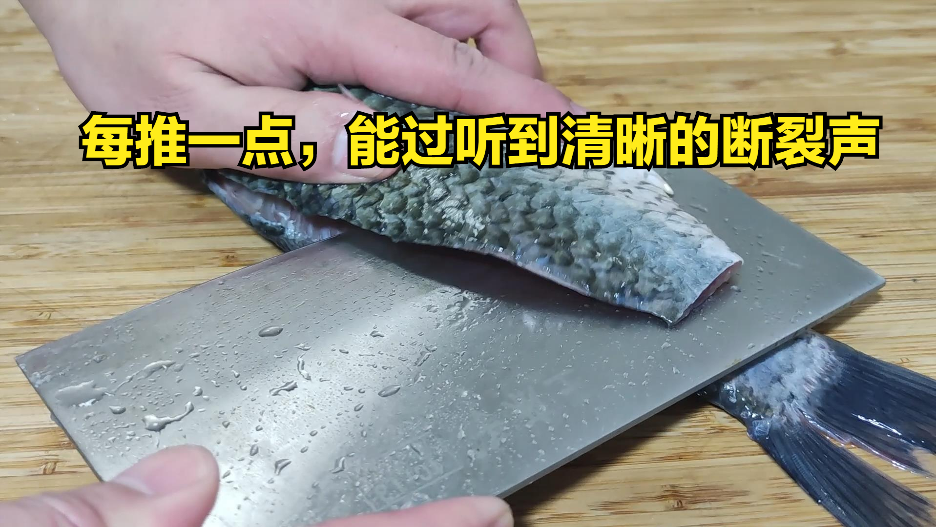 鲫鱼养殖技术视频_鲫鱼养殖视频致富经_视频养殖鲫鱼技术大全