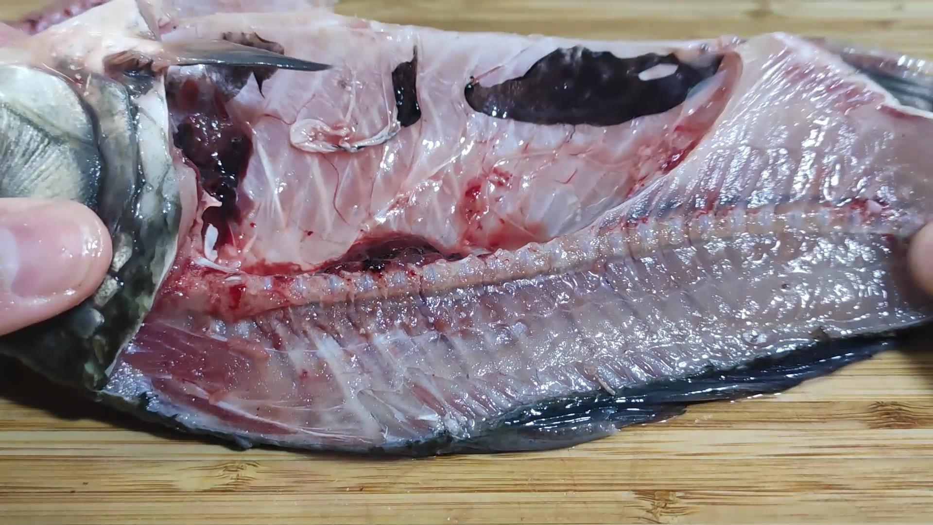 鲫鱼养殖视频致富经_视频养殖鲫鱼技术大全_鲫鱼养殖技术视频