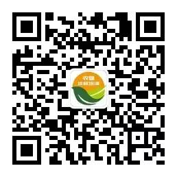杨梅种植过程_杨梅种植技术种_杨梅种植需要什么条件