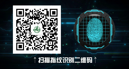 杨梅种植技术种_杨梅种植过程_杨梅种植需要什么条件