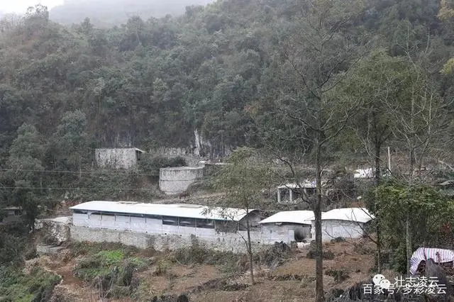致富经给大树劈开_致富经给大树劈开_致富经给大树劈开