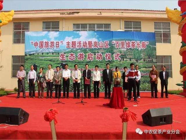 致富茶叶种植茶园地址_茶园茶叶种植致富_茶叶农场