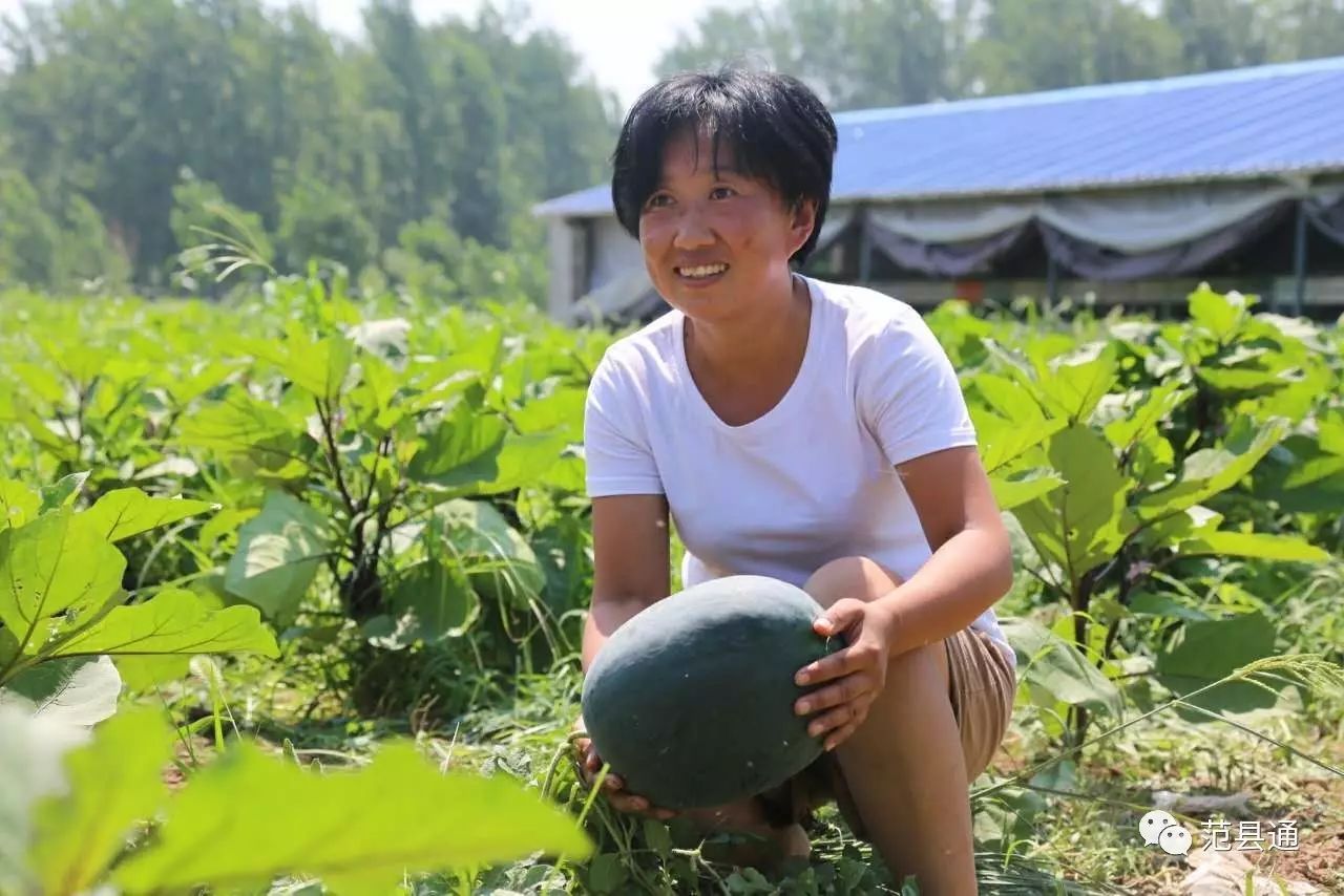 肉兔养殖场视频_肉兔养殖视频致富经历_致富经创业项目农村养殖肉兔