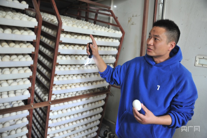 致富养殖什么最赚钱_夏天养殖致富_养殖致富经