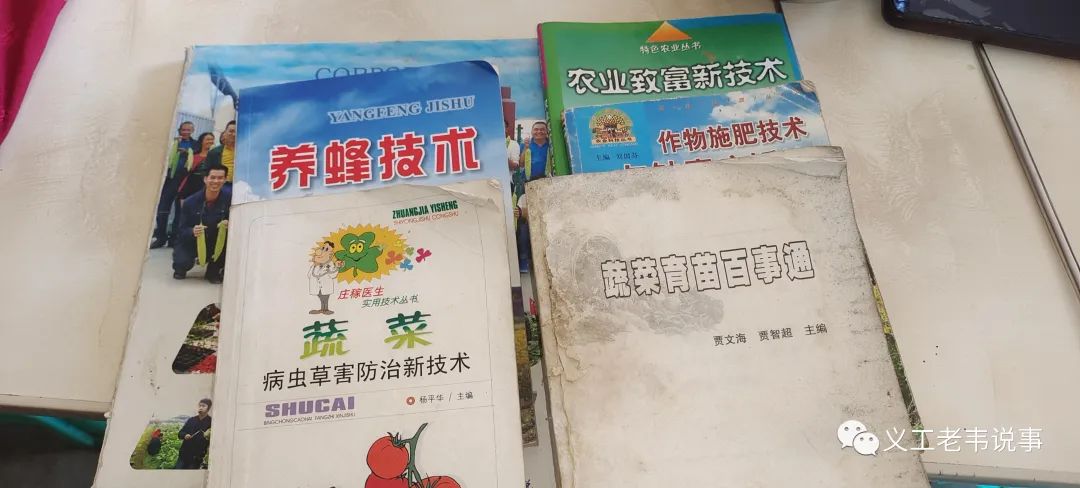 淀粉利润高吗_致富经淀粉_淀粉生意怎么样