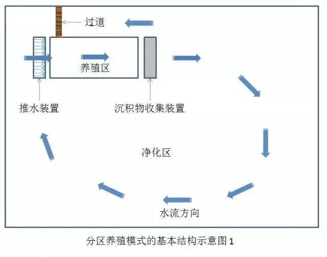 叉尾鮰密集养殖技术_叉尾养殖密度_叉尾养殖模式