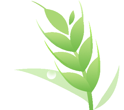 湖北种植业什么最赚钱农村_致富经湖北种植什么_湖北农村种植什么赚钱不愁销路