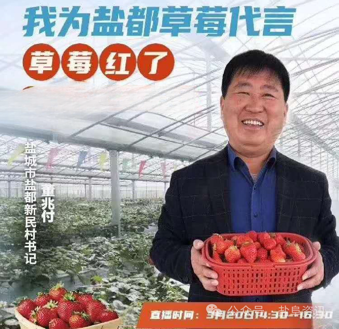 致富大户种植草莓视频_种植草莓大户致富_草莓致富经
