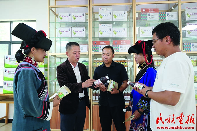 种植重楼效益_种植重楼致富项目_重楼种植利润