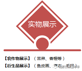 大葱种植技术视频农广天地_红大葱的种植技术视频_种大葱视频教程
