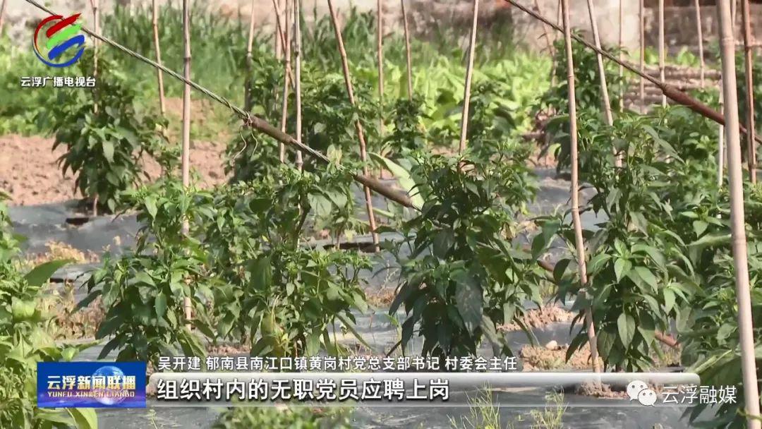 致种植致富_种植致富新项目_种植致富经