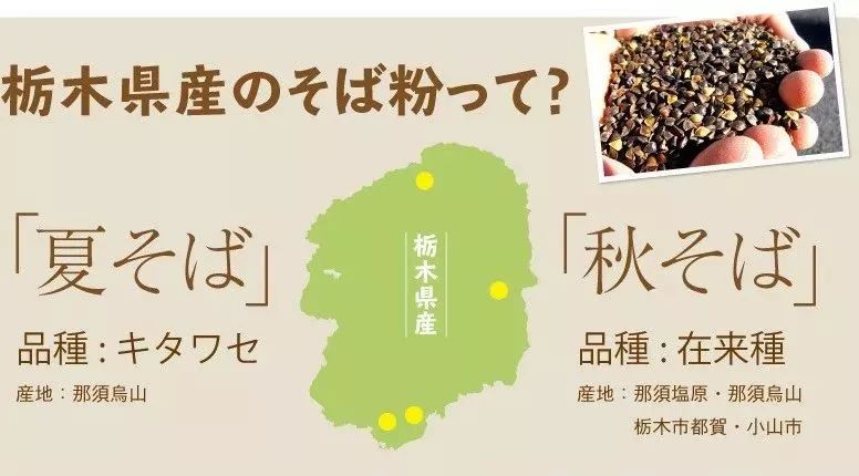 种植红葱的视频_大葱种植技术视频农广天地_红大葱的种植技术视频