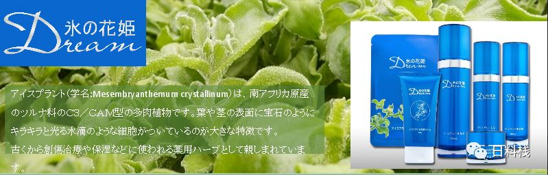 大葱种植技术视频农广天地_红大葱的种植技术视频_种植红葱的视频