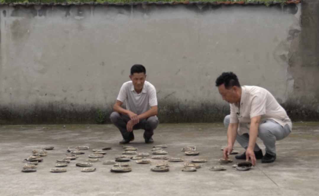 致富经蛇王姐姐险中求富_致富经蛇_致富经大王蛇