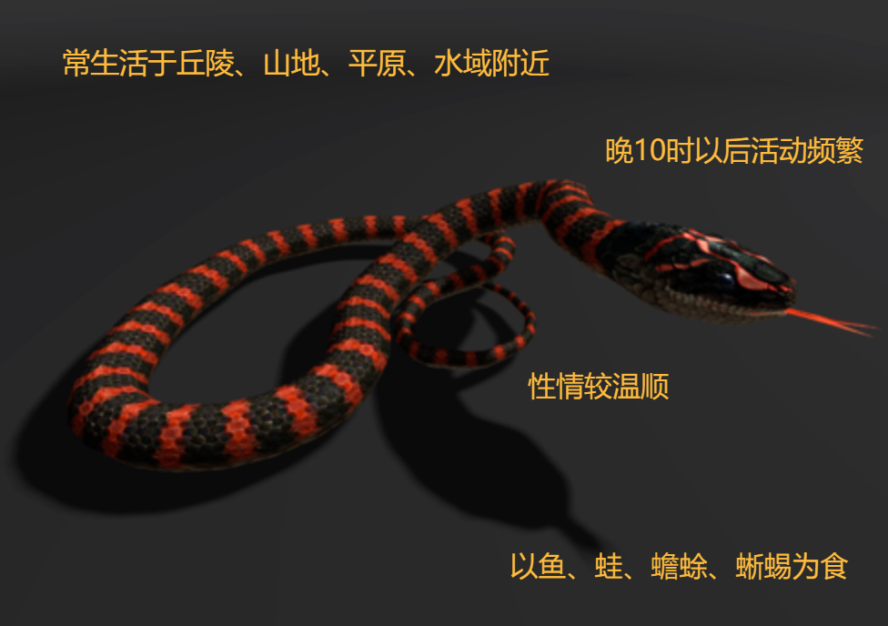 致富经大王蛇_致富经蛇_致富经蛇王姐姐险中求富