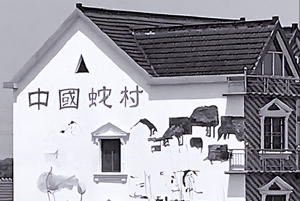 致富经蛇王姐姐险中求富_致富经大王蛇_致富经王大哈