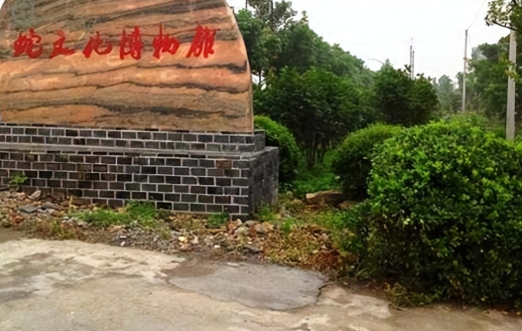 致富经蛇王姐姐险中求富_致富经大王蛇_致富经王大哈