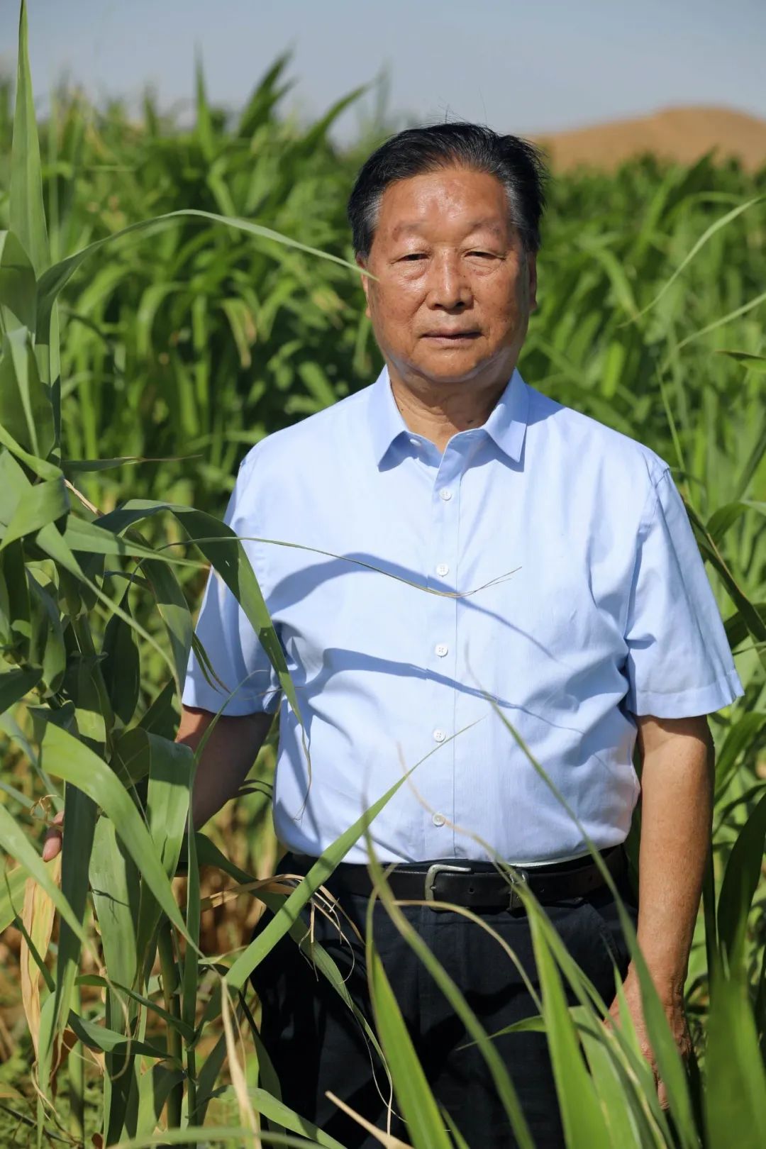 种植食用菌致富经验_种植食用菌前景怎么样_致富种植食用菌经验总结