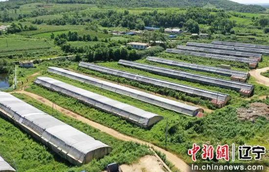 种植食用菌致富经验_种植食用菌赚钱吗_种植食用菌前景怎么样