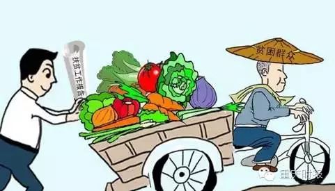 致富养殖苹果行业前景如何_苹果养殖致富行业_种植苹果赚钱吗