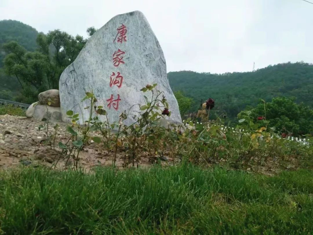 致富养殖苹果行业前景如何_苹果养殖致富行业_种植苹果赚钱吗