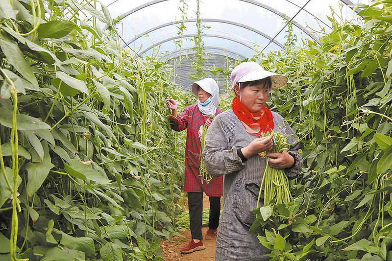 周兴利：打好“农场牌” 念活致富经