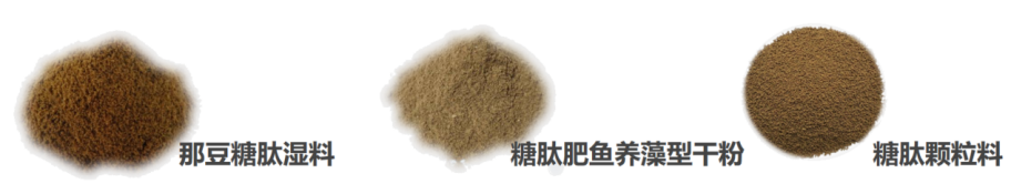 致富经牛蛙养殖_致富经养蛙_致富经 养牛蛙