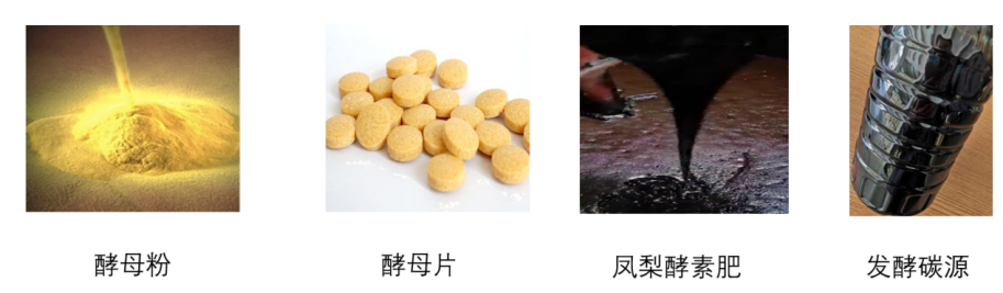 致富经 养牛蛙_致富经牛蛙养殖_致富经养蛙