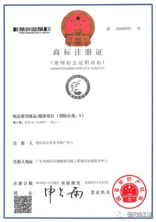 致富经种植药材视频_致富经药材种植业完整版_南药种植致富