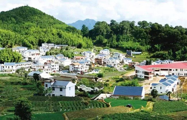 百色华润谋定希望小镇-农业大健康：风景宜人的生态村镇