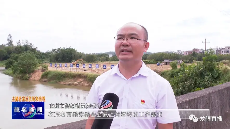 致富经种植药材视频_致富经药材种植业完整版_南药种植致富