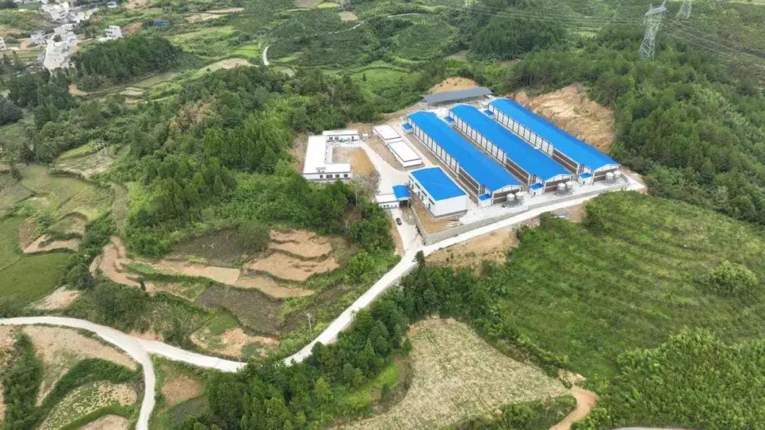 致富养殖之路项目介绍_养殖项目致富之路_致富养殖好项目大全