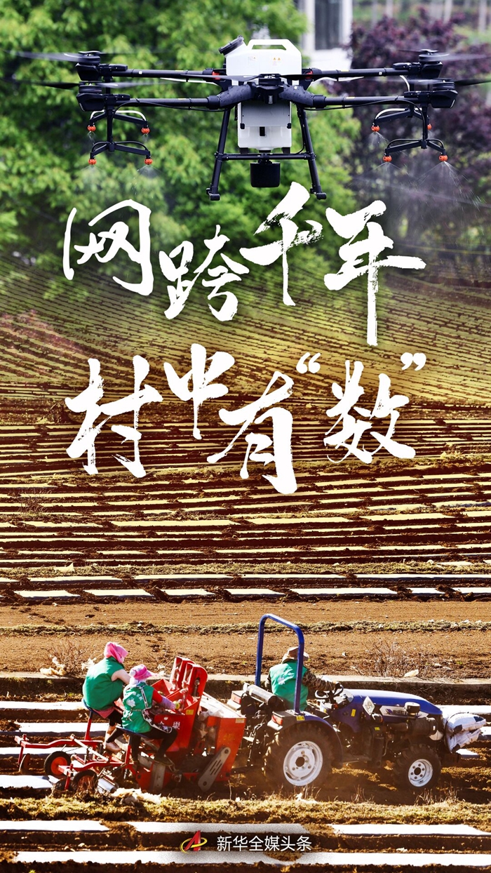 种植蘑菇视频_夏菇种植技术视频_菇茑种植栽培技术视频