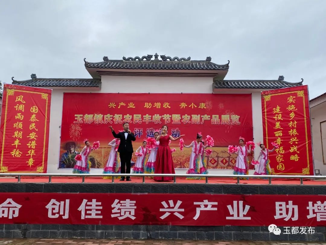采摘园致富经视频_搞采摘园赚钱吗_视频致富采摘园怎么做