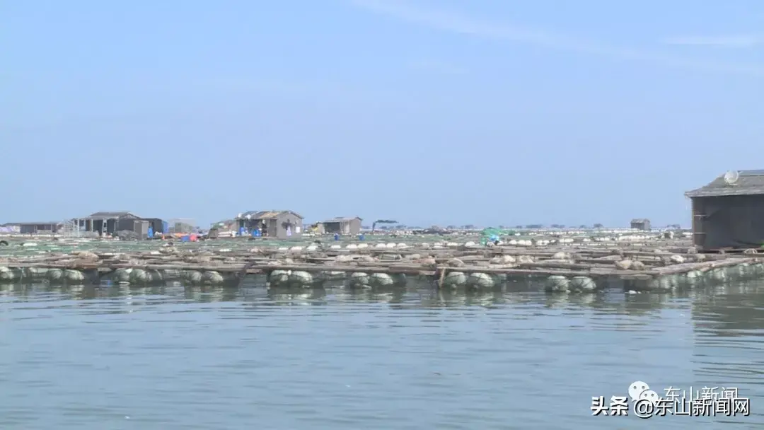 鲍鱼人工养殖技术_人工养殖的鲍鱼_养殖人工鲍鱼技术视频教程