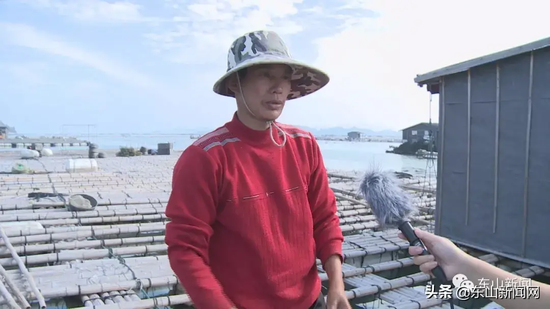 人工养殖的鲍鱼_养殖人工鲍鱼技术视频教程_鲍鱼人工养殖技术