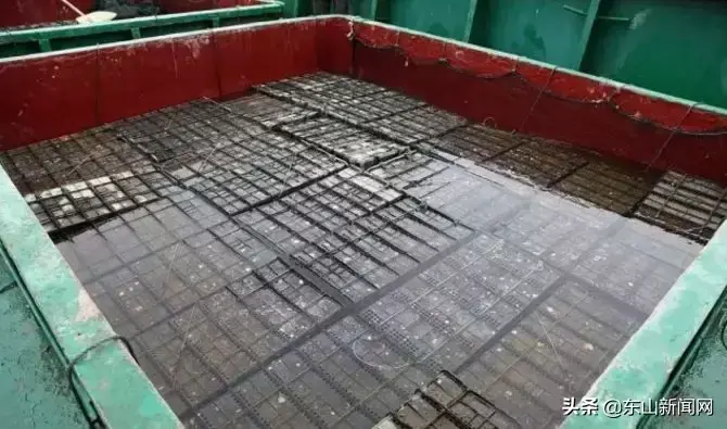 人工养殖的鲍鱼_养殖人工鲍鱼技术视频教程_鲍鱼人工养殖技术