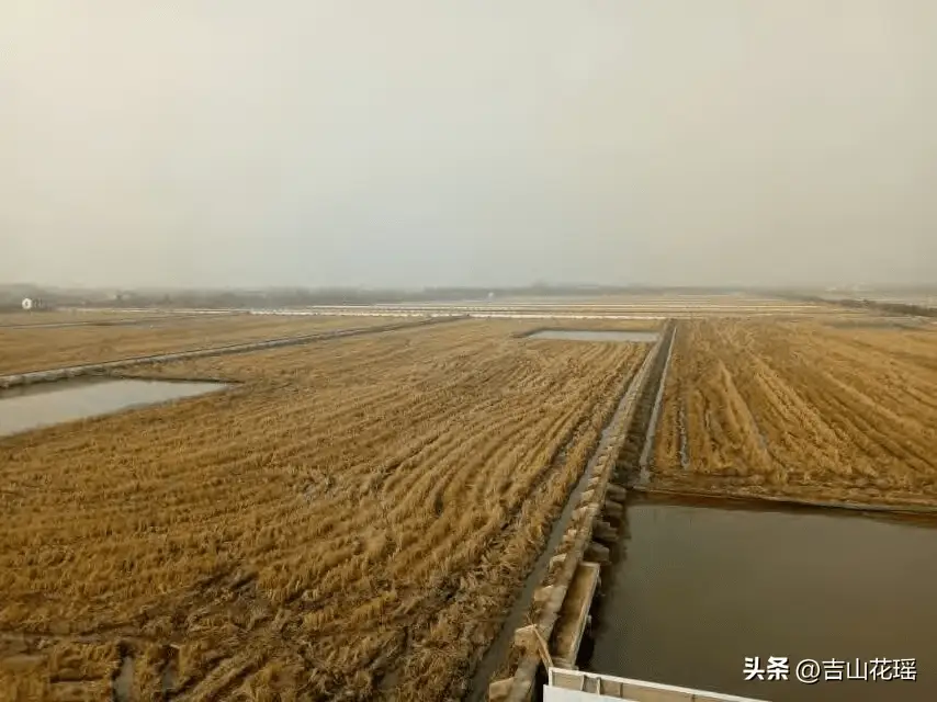 龟鳖的养殖_龟鳖养殖技术书_龟鳖养殖实用技术