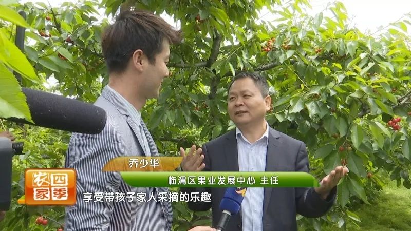 搞采摘园赚钱吗_视频致富采摘园在线观看_采摘园致富经视频