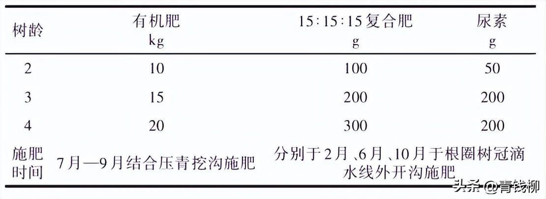 木薯的种植方法图片欣赏_木薯种植技术图文详解_图文详解种植技术木薯怎么写