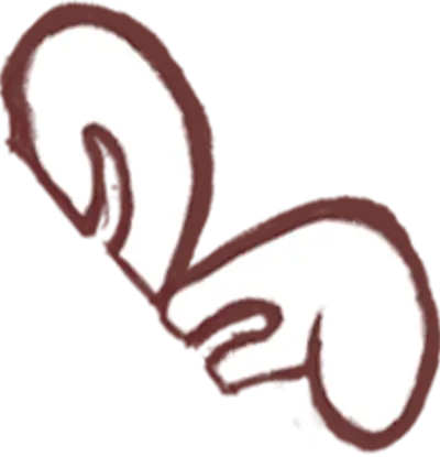 养殖网养牛技术_养殖牛网站大全_养牛技术网站